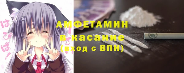 твердый Алзамай